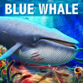 深海蓝鲸模拟 v1.0.6