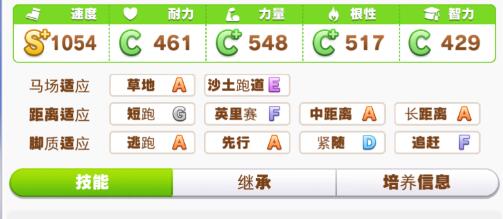 赛马娘星云天空事件选择建议