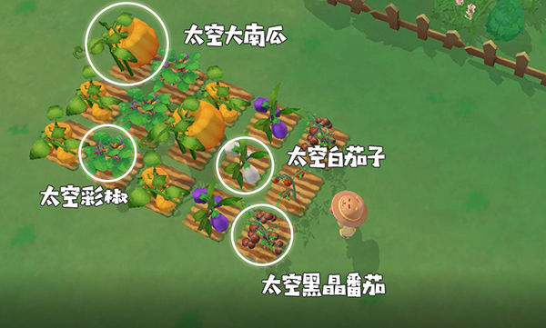 游侠网7