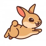 兔兔绘本 v2.7.0安卓版