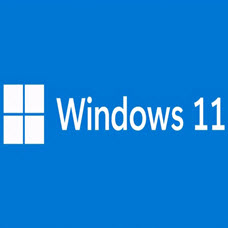 安卓Windows11系统ARM刷机包 v1.5