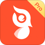 啄木鸟Pro v2.1.5