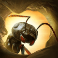蚂蚁军团为了虫群 v7.1.23安卓版