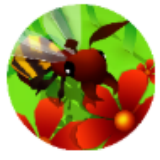 蜜蜂进化3D v1鐎瑰宕渧1.5