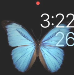 AppleWatchSeries7怎么换桌面-设置壁纸步骤