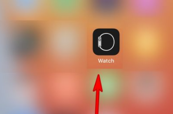 applewatchseries7怎么设置锁屏密码-锁屏密码如何设置