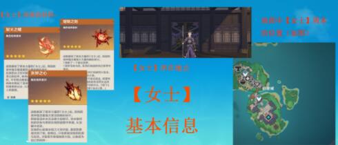 原神女士打法阵容选择