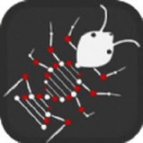 蚂蚁吞噬进化 v1.0.6
