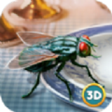 3D仿真苍蝇模拟器 v1.0.6