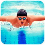 游泳模拟器 v1.2.4安卓版