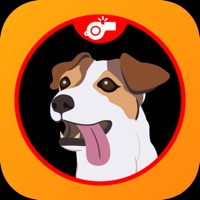 狗训练答题器和噪音苹果版 v1.0