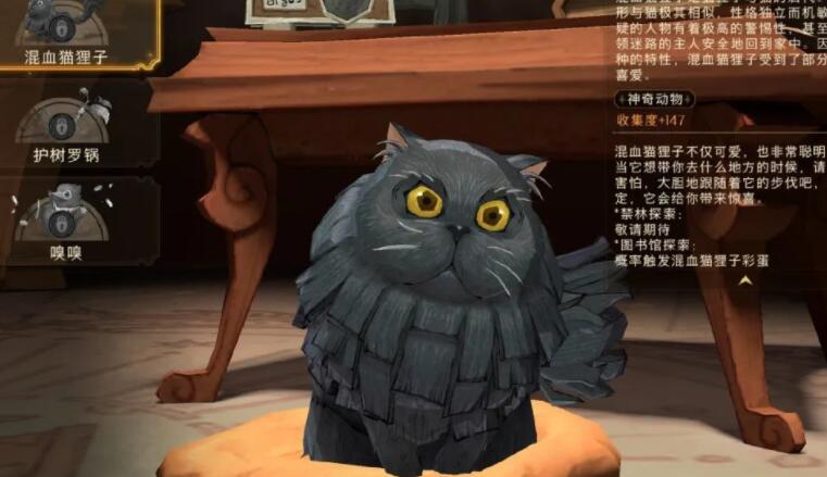 哈利波特魔法觉醒决斗大师魔杖获得攻略