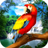 野生鹦鹉生存丛林鸟模拟器 v1.6