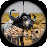 边境动物狩猎 v1.6安卓版