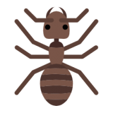 小蚂蚁儿歌 v1.6