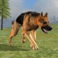 动物生存模拟器之狗 v1.1安卓版