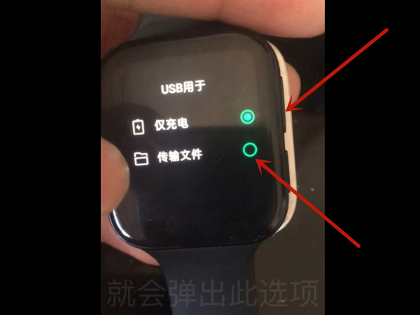 oppo watch2在哪安装第三方软件(oppowatch2怎么安装第三方软件教程)