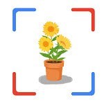 花朵识别 v1.1安卓版