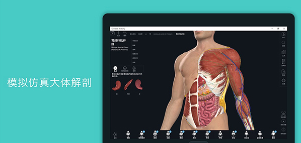 complete anatomy v1.93下载