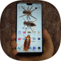 虫子整蛊模拟器 v1.0安卓版