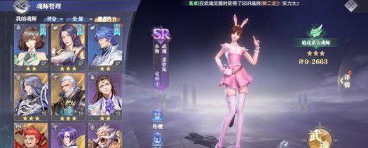 斗罗大陆魂师对决小白阵容及魂环搭配详解