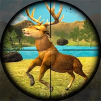 野生动物狩猎冲突苹果版 v1.0
