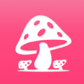 蘑菇赏 v1.0.1安卓版
