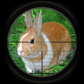 兔子狩猎3D v1.2安卓版