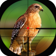 鸟类狩猎挑战 v1.0安卓版