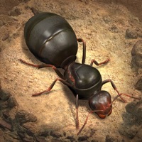 小小蚁国:真实蚂蚁世界苹果版 v3.0.5