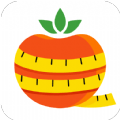 番茄闪轻 v1.0.0安卓版