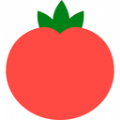 番茄笔记助手 v9.2.0.1安卓版