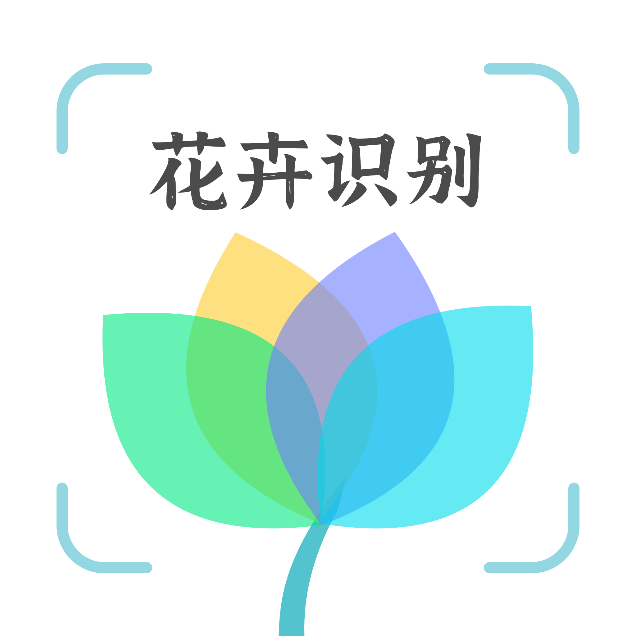 花卉识别 v1.0.1 安卓版