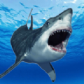 鲨鱼的恐怖袭击 v1鐎瑰宕渧1.1