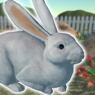 兔子朋友 v1.3.6